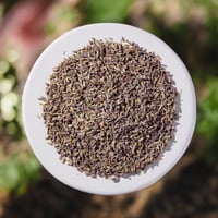 Organic Lavender (bulk)