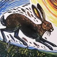 Image 3 of Autumn Hare
