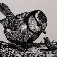 Image 3 of Friend or Foe?