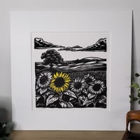 Image 2 of Sunflowers
