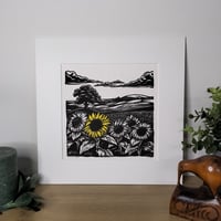 Image 1 of Sunflowers