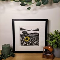 Image 4 of Sunflowers