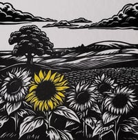 Image 3 of Sunflowers