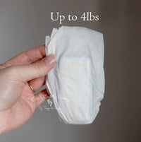 Image 1 of Preemie Diapers - Up to 4lbs