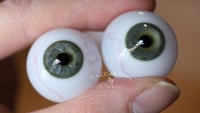 Image 8 of 24mm - Full Round -  German Glass Eyes - Green/Gray w/Veins - Imperfect