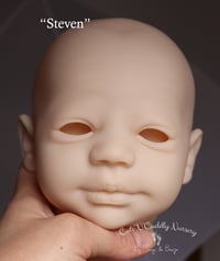 Image 1 of Steven Awake - Realborn - Bountiful Baby - Kit - COA - Body Included