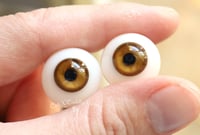 Image 4 of 18mm - Full Round - Glass Eyes - Hazel