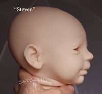 Image 2 of Steven Awake - Realborn - Bountiful Baby - Kit - COA - Body Included