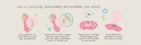 Image 6 of Sweetheart - Newborn - Honeybug - Magnetic Pacifier - Magnet included - Lilly