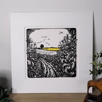 Image 2 of Cornfields