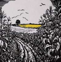 Image 3 of Cornfields