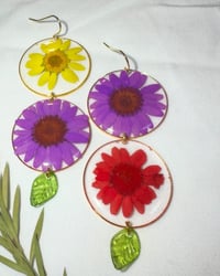 Mix match gold daisy