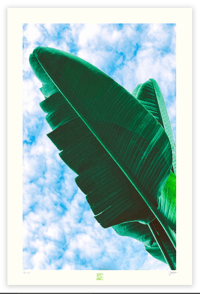 Image 1 of A SHADY CHARACTER (36X24)