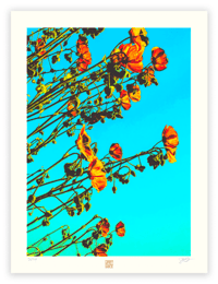 Image 1 of BRANCH DRESSING (24X18)