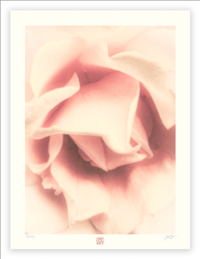 Image 1 of INTIMACY (18X12)