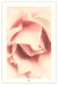 Image 1 of INTIMACY (36X24)