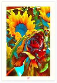 Image 1 of COLOR CONFUSION (36X24)