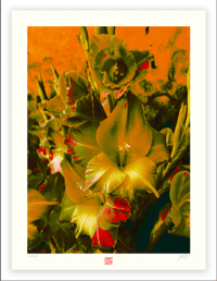 FLORAL COLOR BREAK #3 (24X18)