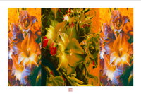 Image 1 of A FOGGY DREAM #1 (36X24)