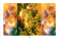 Image 1 of LAVENDER FOG (36X24)