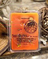 Image 15 of Sun Blooms on the Horizon 