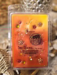 Image 12 of Sun Blooms on the Horizon 
