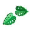 FHOS - Monstera Ledge Set