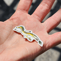 Image 4 of Ascension Raptor Sticker