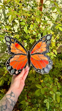 Image 2 of Spring Monarch Butterfly 