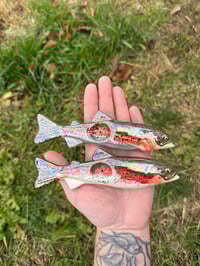 Image 2 of Rainbow Trout - Mother of Pearl