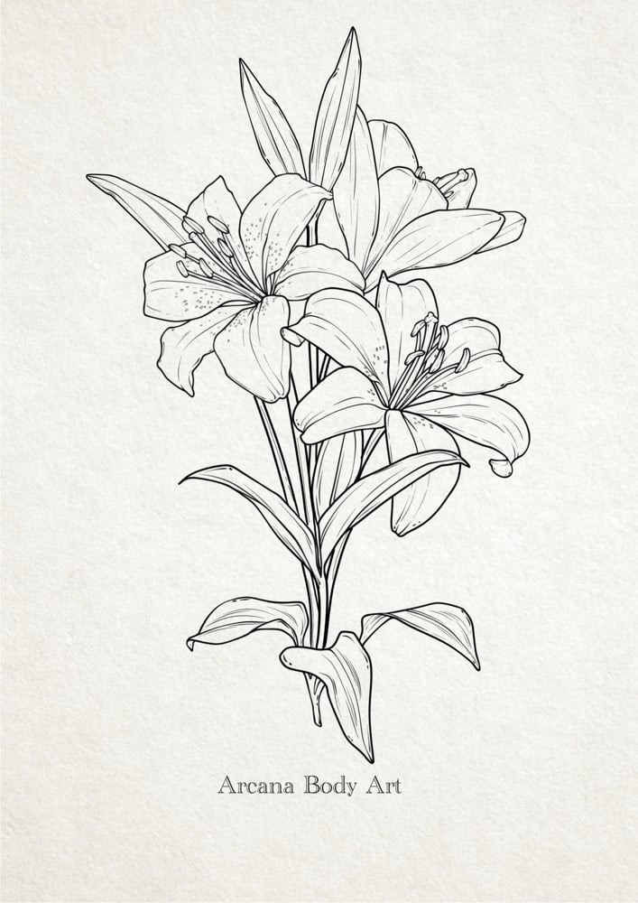 Image of Bouquet Lys