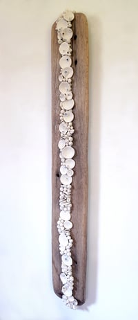 Image 1 of The In-between - Cara O'Brien