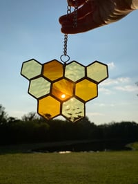 Image 2 of Hexagon Hive