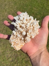 Image 11 of Calcite Crystal Reef Formation Specimen #1241