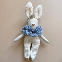 Image 2 of LAPIN MINIATURE PETIT PRINCE