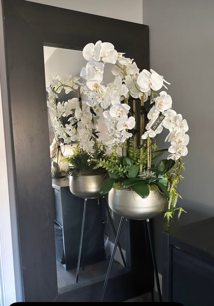 Image of NEW! Orchid arrangements in plant stands