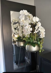 Image 1 of NEW! Orchid arrangements in plant stands