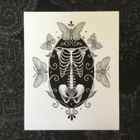 Image 3 of Skeleton With Moths And Butterflies print