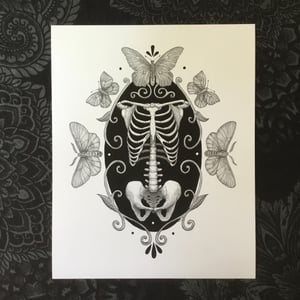 Skeleton With Moths And Butterflies print