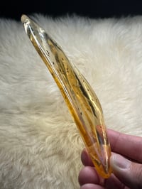 Image 9 of Copal Amber With Preserved Insects #2357