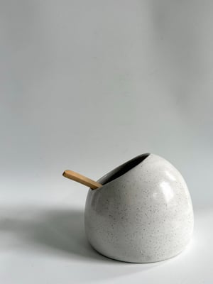 Image of Salt pig 2
