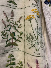 Image 23 of The herb garden (m/l)