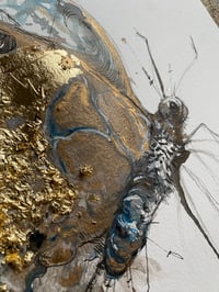 Image 3 of Papillon Or 