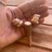 Image of Axis deer antler spike shed necklace with tiger puka shells and a sliding seaglass clasp