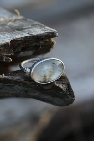 Image of Mossy Ring