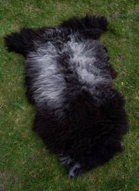 Image 1 of Harting Black Sheepskin #10