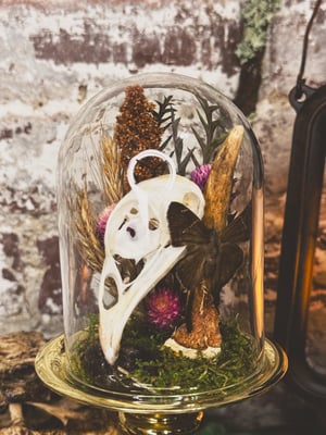 Image of Pheasant & Antler Mini Cloche