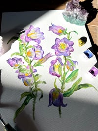 Image 3 of "Campanula" Original