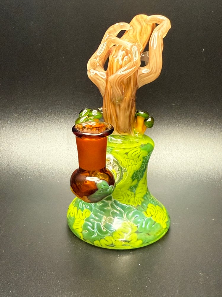 Image of Green Headed Jelly Jammer 