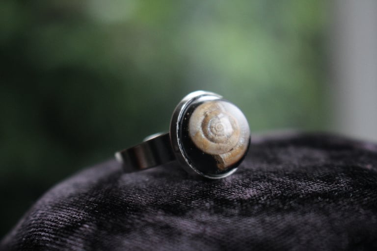 Dead Good snail shell ring 2 Image 6